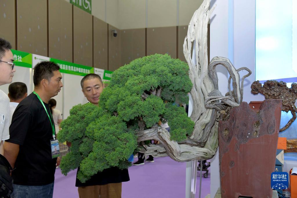 捕鱼游戏寻鱼决